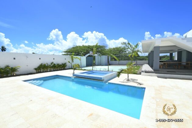 The villa swimming pool